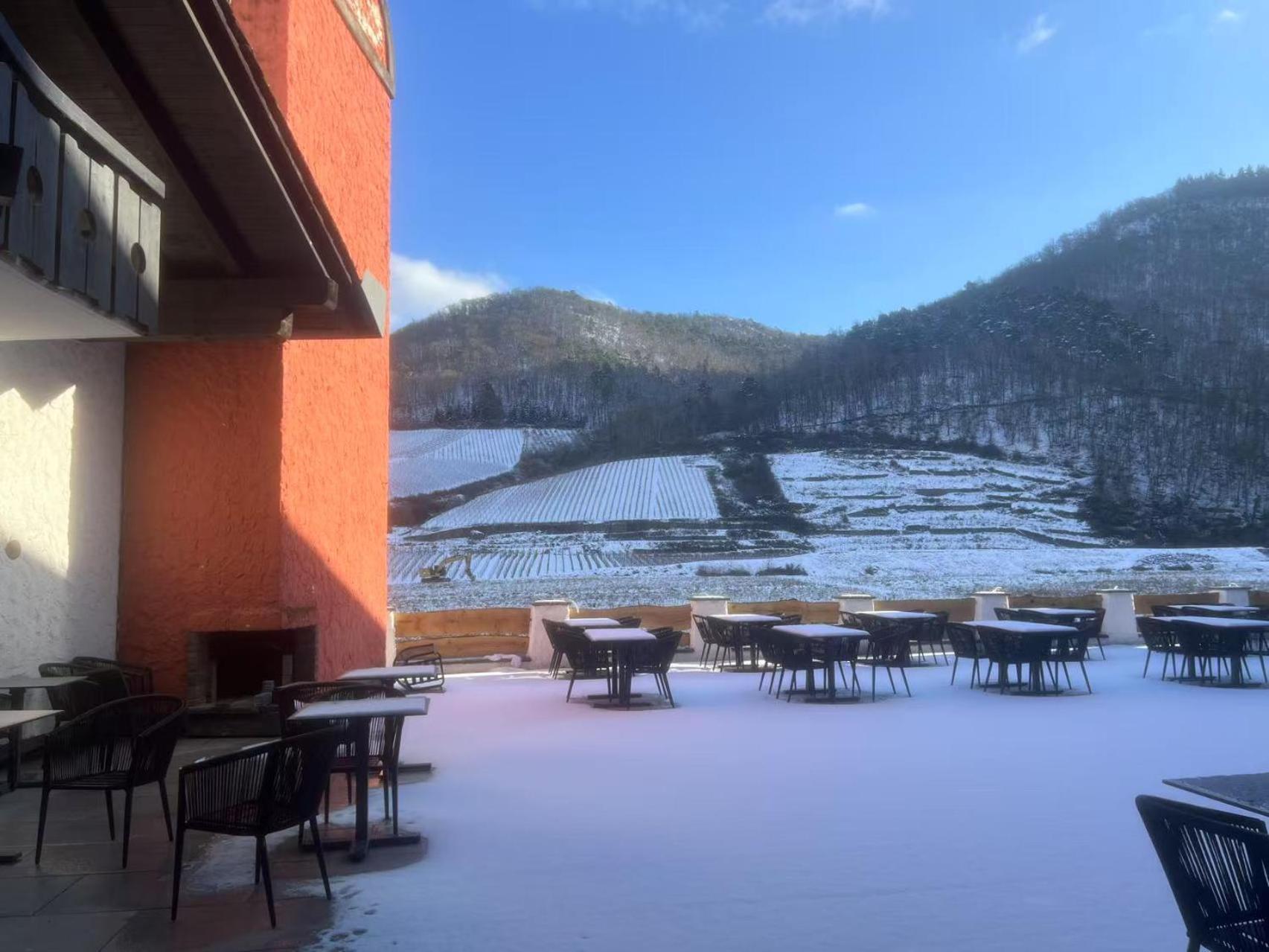 May Hotel Mayschoß Dış mekan fotoğraf